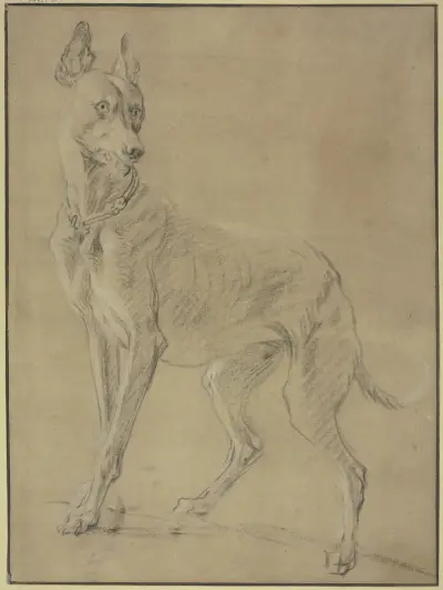 Greyhound to the left av Jan Weenix