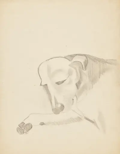 Armand av Jean Brusselmans