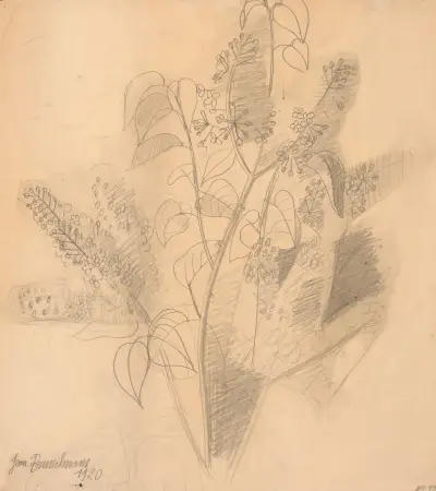 Blommor av Jean Brusselmans