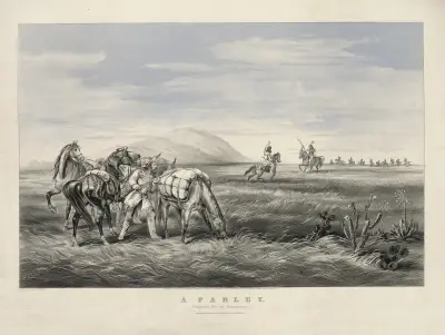 A parley; prepared for an emergency av John Cameron