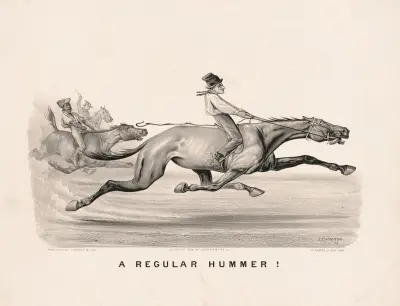 A regular hummer!, John Cameron