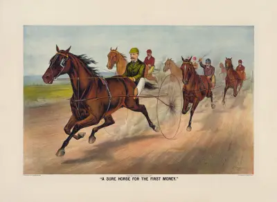 Ein sicheres Pferd für den ersten Preis von John Cameron