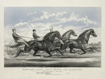 Mambrino Pilot, Daisy Burns, and Rosamond; trotting for a purse, $100 mile heats, best 3 in 5 in harness av John Cameron