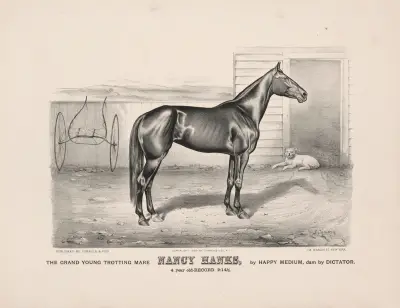 The grand young trotting mare Nancy Hanks, by Happy Medium, dam by Dictator av John Cameron
