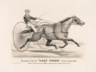 The queen of the turf ‘Lady Thorn’ driven by Dan Pfifer av John Cameron