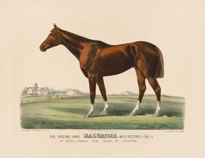 Kapplöpningskungen Salvator av John Cameron