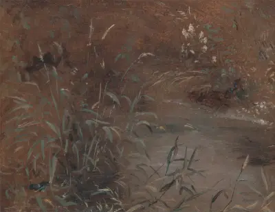Rushes by a pool av John Constable