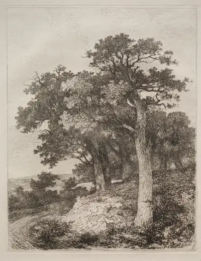 At Colney av John Crome
