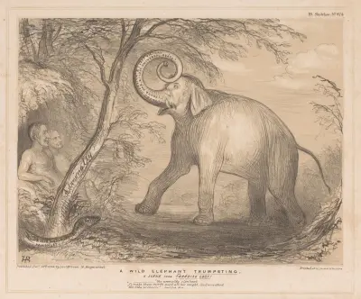 En vild elefant som trumpetar. En scen ur Det förlorade paradiset av John Doyle