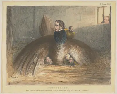 Protection, A Hen and Chickens of an Extraordinary Game Breed, Not to be Found in any work on Ornithology av John Doyle