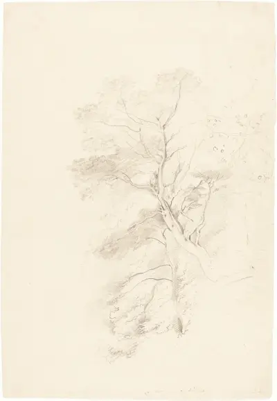 A Beech Wood av John Linnell