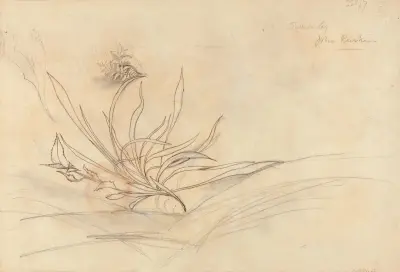 Skizze von Laubwerk von John Ruskin