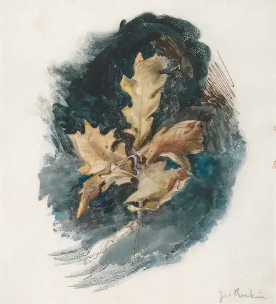 Study of an Oak Leaf av John Ruskin