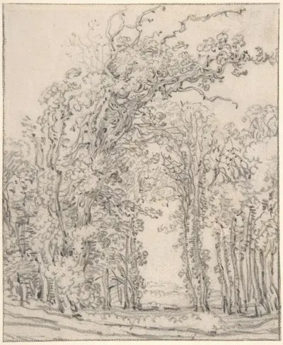 Study of Trees av John Ruskin