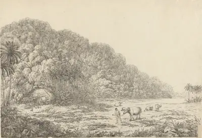 View in the Island of Pulo Condore, 1792 – nr 1 av John Webber