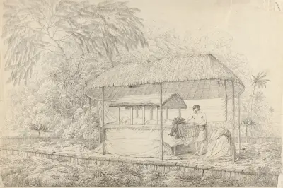 Waheiadooa, Chief of Oheitepha, Lying in State av John Webber