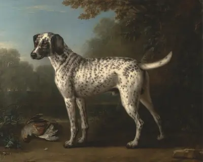 En grå fläckig hund av John Wootton