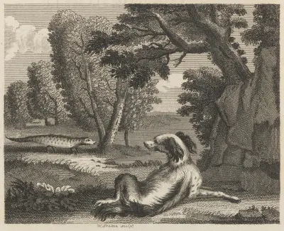 Fable II. The Spaniel and the Cameleon av John Wootton