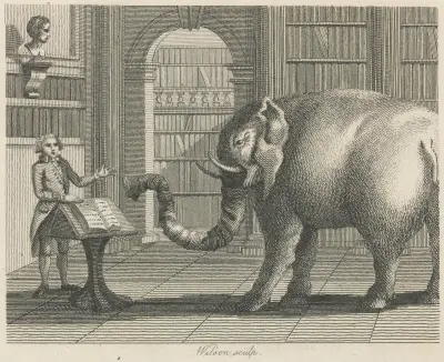 Fable X. The Elephant and the Bookseller av John Wootton