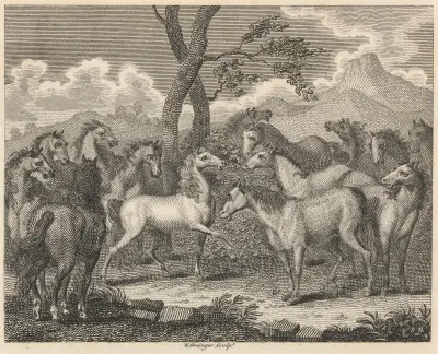 Fable XLIII. The Council of Horses av John Wootton