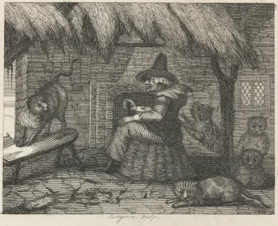 Fabel XXIII. Gumman och hennes katter av John Wootton