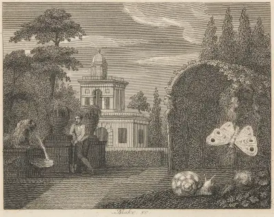 Fabel XXIV. Fjärilen och snigeln av John Wootton