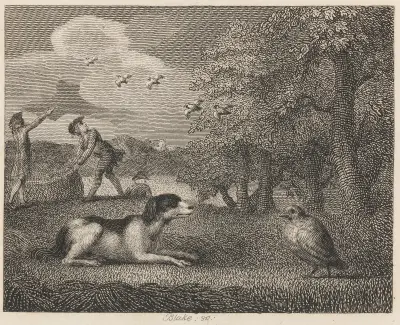 Fabel XXX. Stående hunden och rapphönan av John Wootton