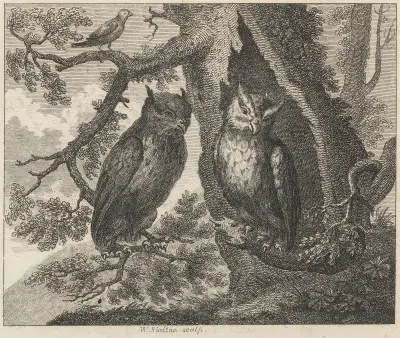 Fable XXXII. The Two Owls and the Sparrow av John Wootton