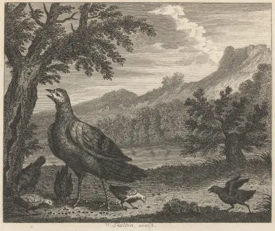 Fable XXXVIII. The Turkey and the Ant av John Wootton