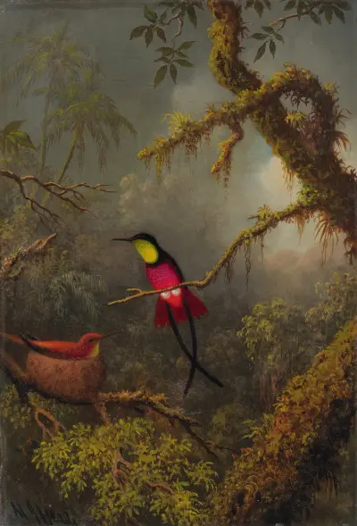 A Pair Of Nesting Crimson Topaz Hummingbirds av Martin Johnson Heade