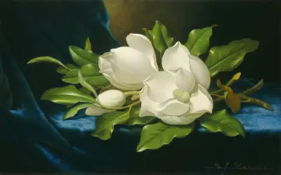 Giant Magnolias on a Blue Velvet Cloth av Martin Johnson Heade