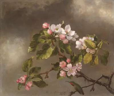 Hummingbird and Apple Blossoms av Martin Johnson Heade