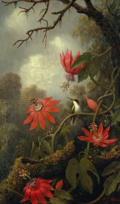 Hummingbird and Passionflowers av Martin Johnson Heade