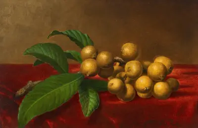 Loquats on Red Velvet av Martin Johnson Heade