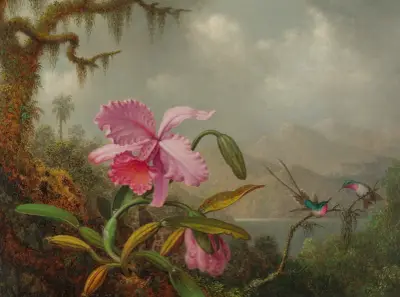 Orchids And Hummingbirds av Martin Johnson Heade