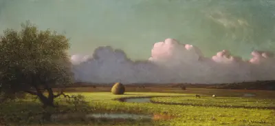 Sunlight and Shadow – The Newbury Marshes av Martin Johnson Heade