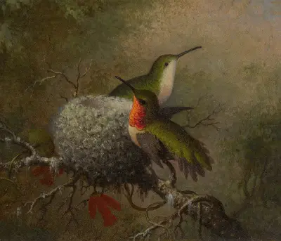 Two Ruby Throats By Their Nest av Martin Johnson Heade