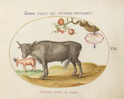 A Bull and a Horned Animal av Joris Hoefnagel