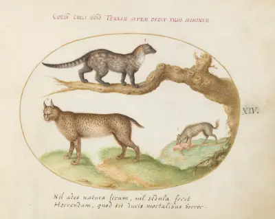 A Civet, a Lynx, and a Hyena Eating a Dog av Joris Hoefnagel