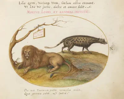 A Lion and a Civet Cat av Joris Hoefnagel