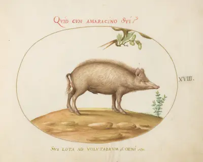 A Pig with Acorns av Joris Hoefnagel