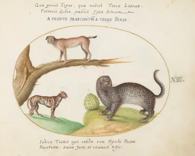 A Tiger, a Lynx, and a Jaguar av Joris Hoefnagel