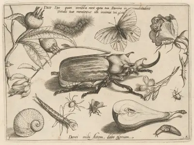 Archetypa studiaque patris Georgii Hoefnagelii Pl.01 av Joris Hoefnagel