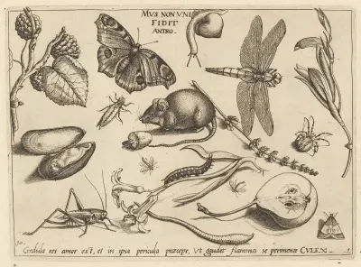 Archetypa studiaque patris Georgii Hoefnagelii Pl.02 av Joris Hoefnagel