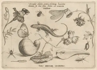 Archetypa studiaque patris Georgii Hoefnagelii Pl.03 av Joris Hoefnagel