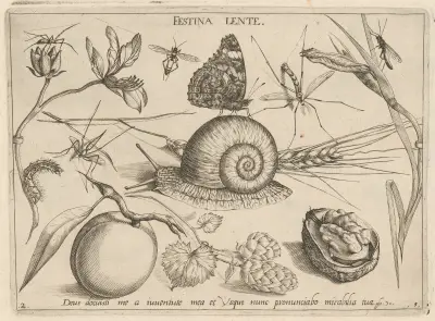 Archetypa studiaque patris Georgii Hoefnagelii Pl.05 av Joris Hoefnagel