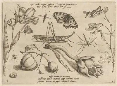 Archetypa studiaque patris Georgii Hoefnagelii Pl.07 av Joris Hoefnagel