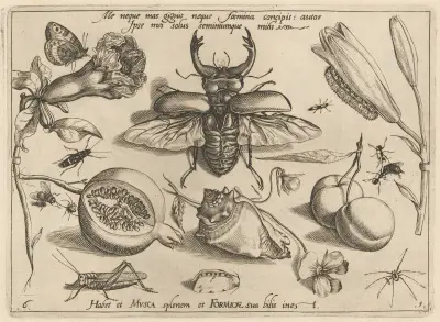 Archetypa studiaque patris Georgii Hoefnagelii Pl.08 av Joris Hoefnagel