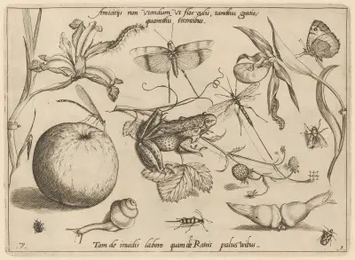 Archetypa studiaque patris Georgii Hoefnagelii Pl.09 av Joris Hoefnagel