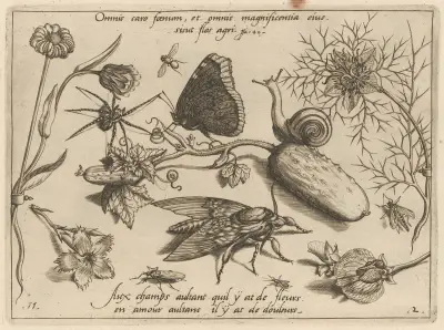 Archetypa studiaque patris Georgii Hoefnagelii Pl.15 av Joris Hoefnagel